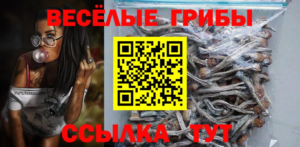 Галлюциногенные грибы Psilocybe  Вход с VPN  Елабуга 