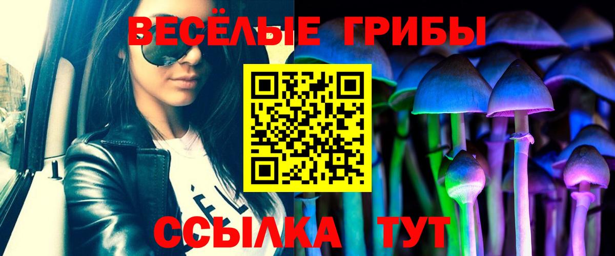 Псилоцибиновые грибы ЛСД Елабуга